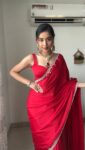 Diamond Hand Embroidery Red Saree